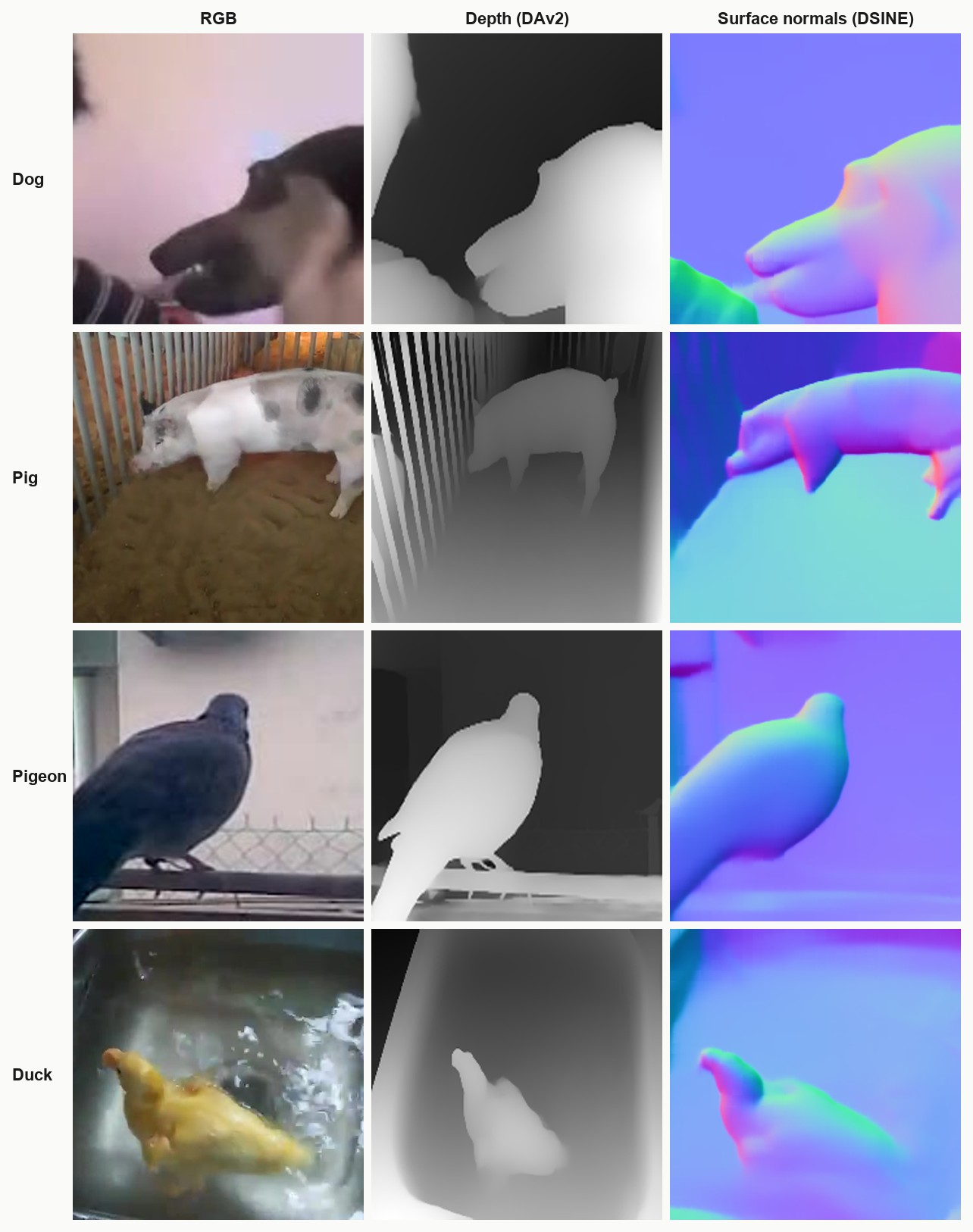 Four samples (dog, pig, pigeon, duck), each shown as an RGB photo, a Depth-Anything-V2 depth map, and the paired DSINE surface-normal map.